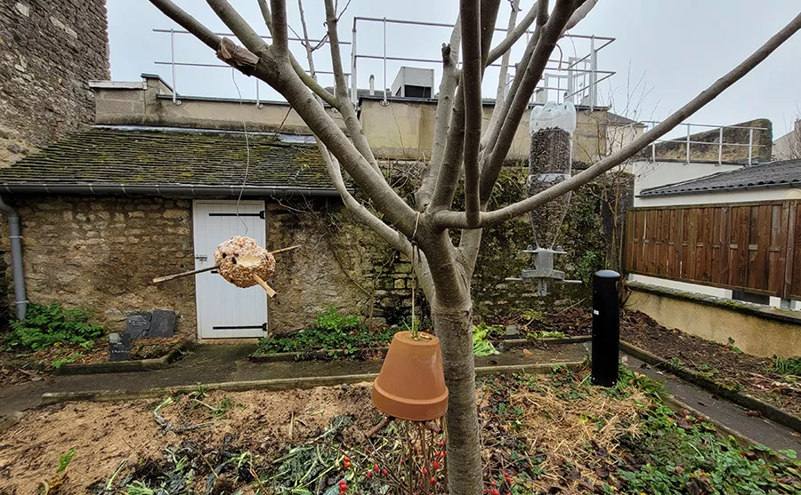 Hiver potager arbre