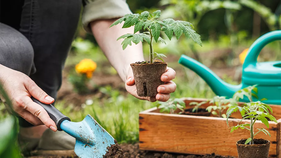 atelier-design-potager