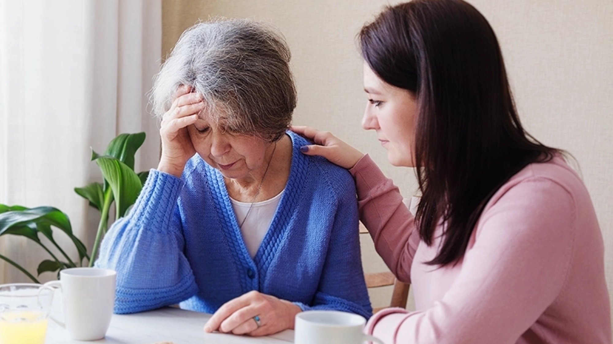 formation-alzheimer-essms