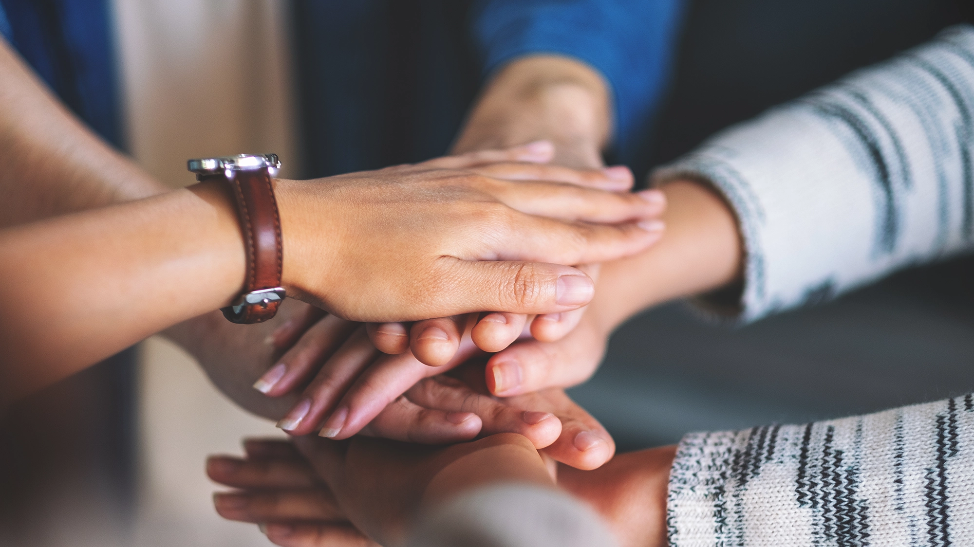 Sensibilisation au travail en équipe pluridisciplinaire
